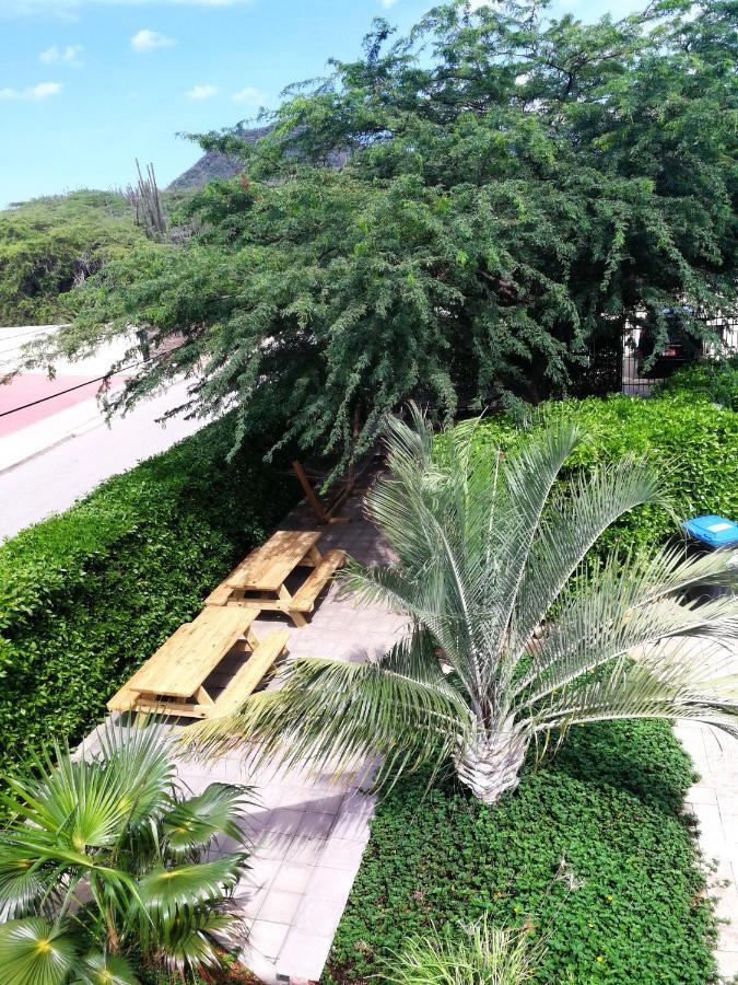 Agua Clara Eco Suites Oranjestad Bagian luar foto