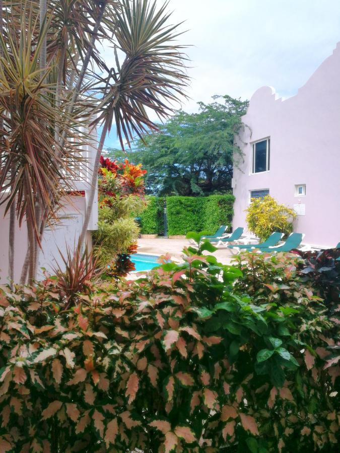 Agua Clara Eco Suites Oranjestad Bagian luar foto